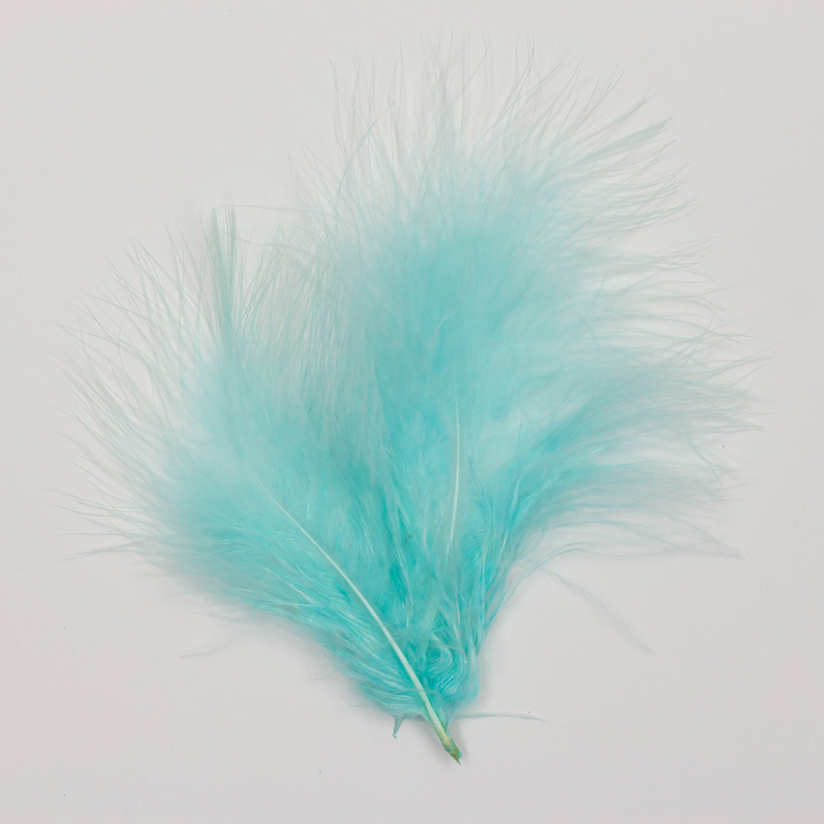 Ostrich/Goose Feather Kit Assorted 2-9 inch --Teal