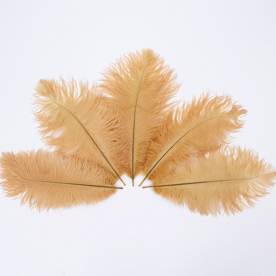 Ostrich Feathers 9-12" Drabs - Toasted Almond