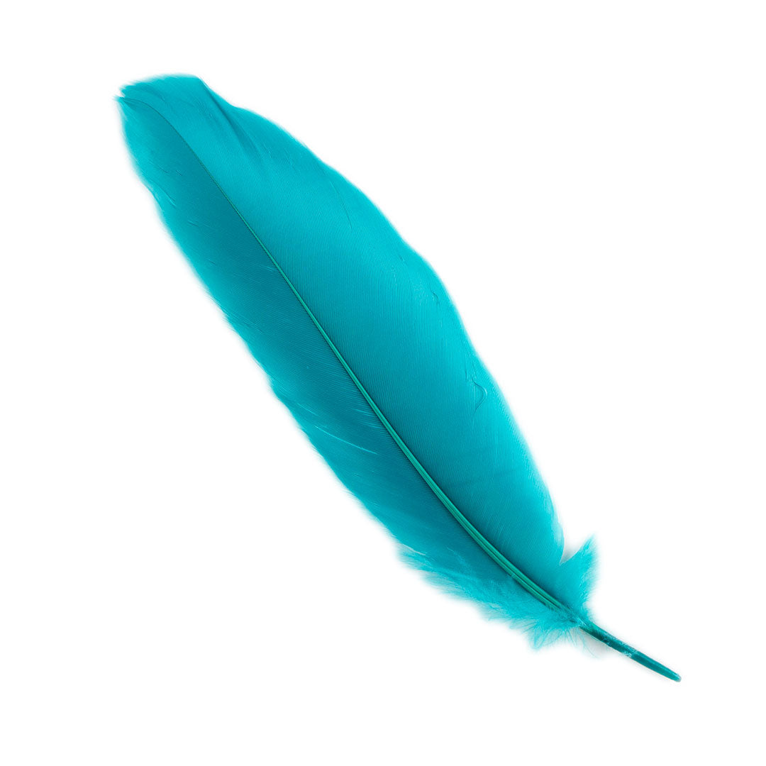 Goose Satinette Feathers Dyed - AQUAMARINE - 1/4 lb
