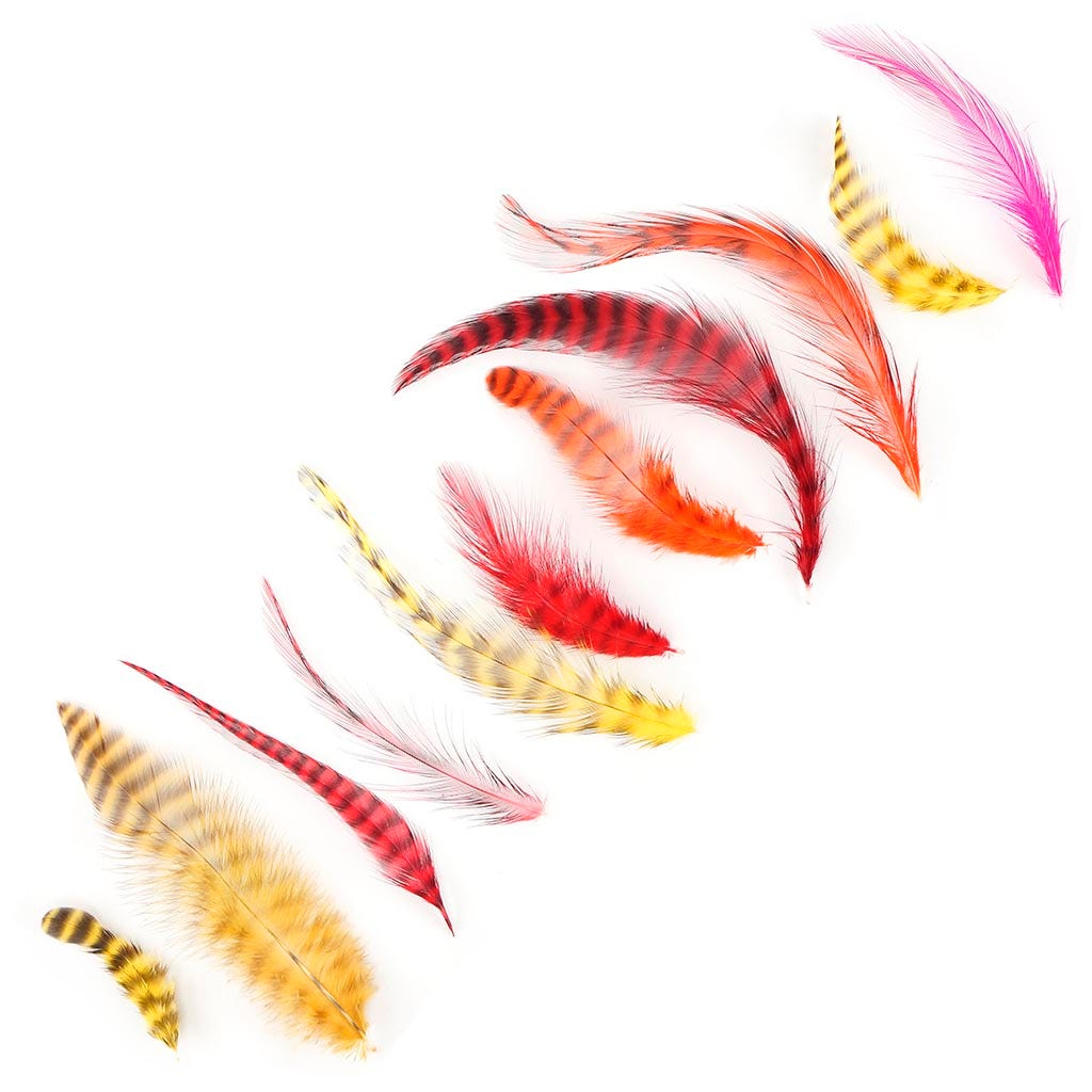 Loose Rooster Chinchilla Mixed Dyed Hot