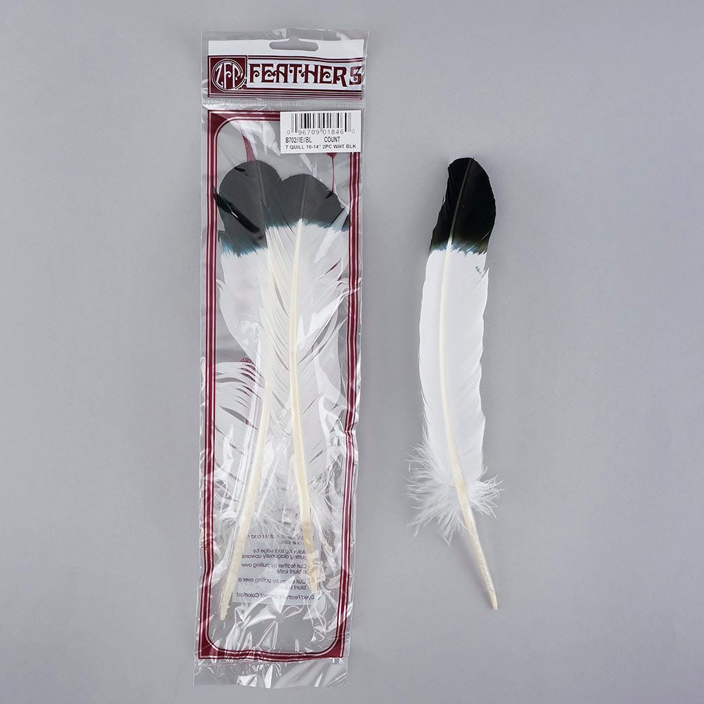 2 PC PKG Turkey Quills Imitation Eagle 10-12" - Black