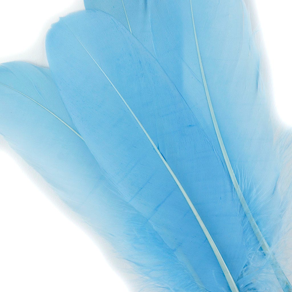 Bulk Bulk Goose Pallet Feathers 6-8 Inch - 1/4 LB - Light Blue