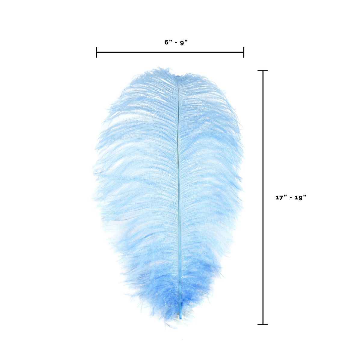 Large Ostrich Feathers - 17"+ Drabs - Sky