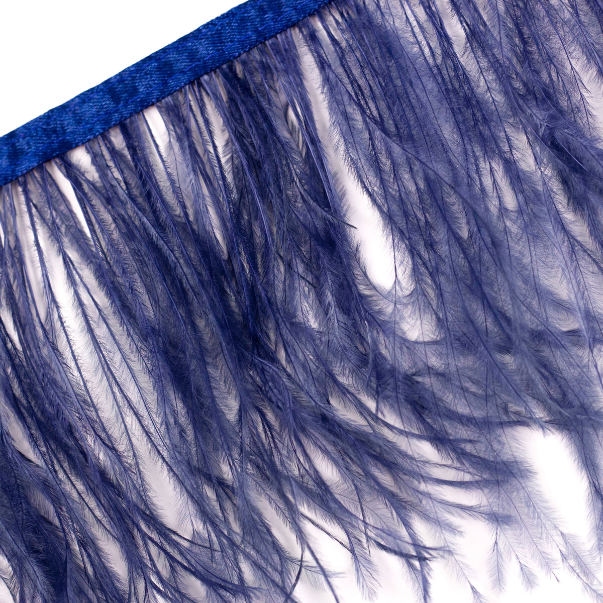 One-Ply Ostrich Feather Fringe - 5 Yards - Denim