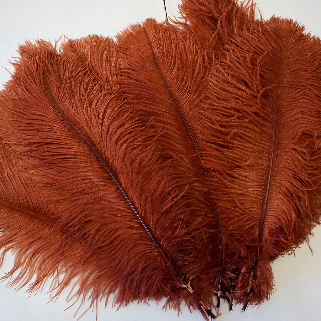 Large Ostrich Feathers - 17"+ Drabs - Copper