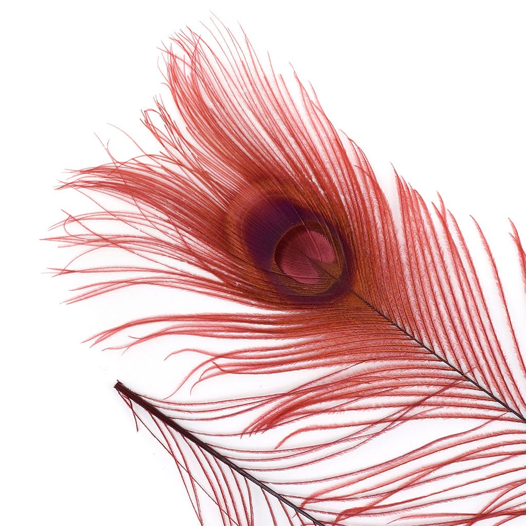 Peacock Feather Eyes Bleached & Dyed Burgundy