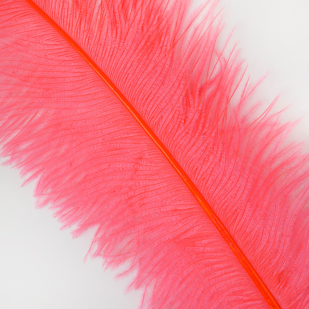 Large Ostrich Feathers - 18-24" Spads - Coral