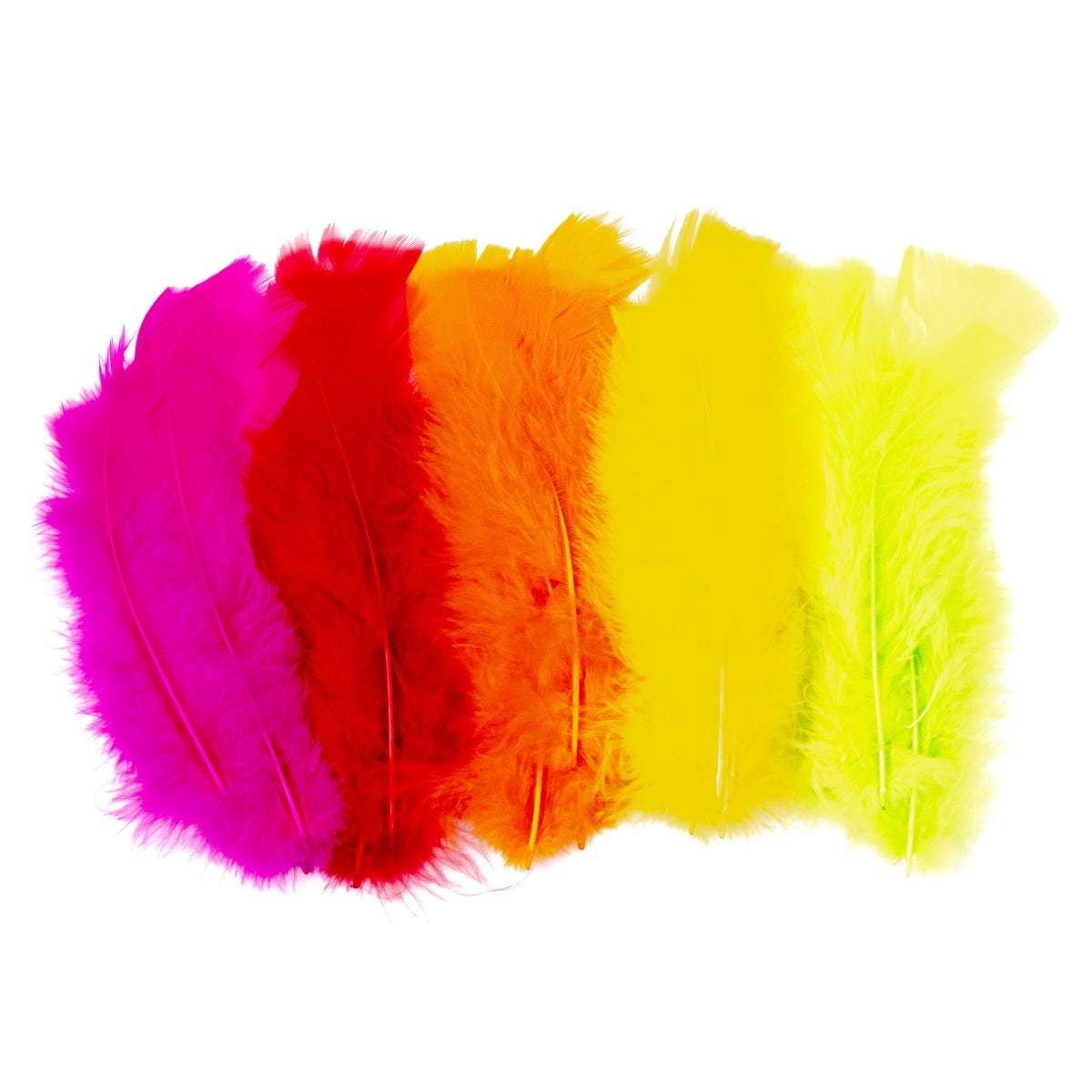 Dream Catcher Kit - Neon