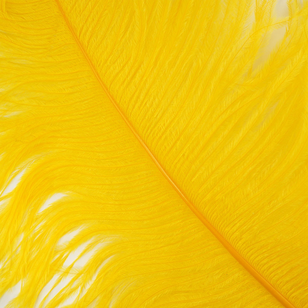 Large Ostrich Feathers - 20-25" Prime Femina Plumes - Gold