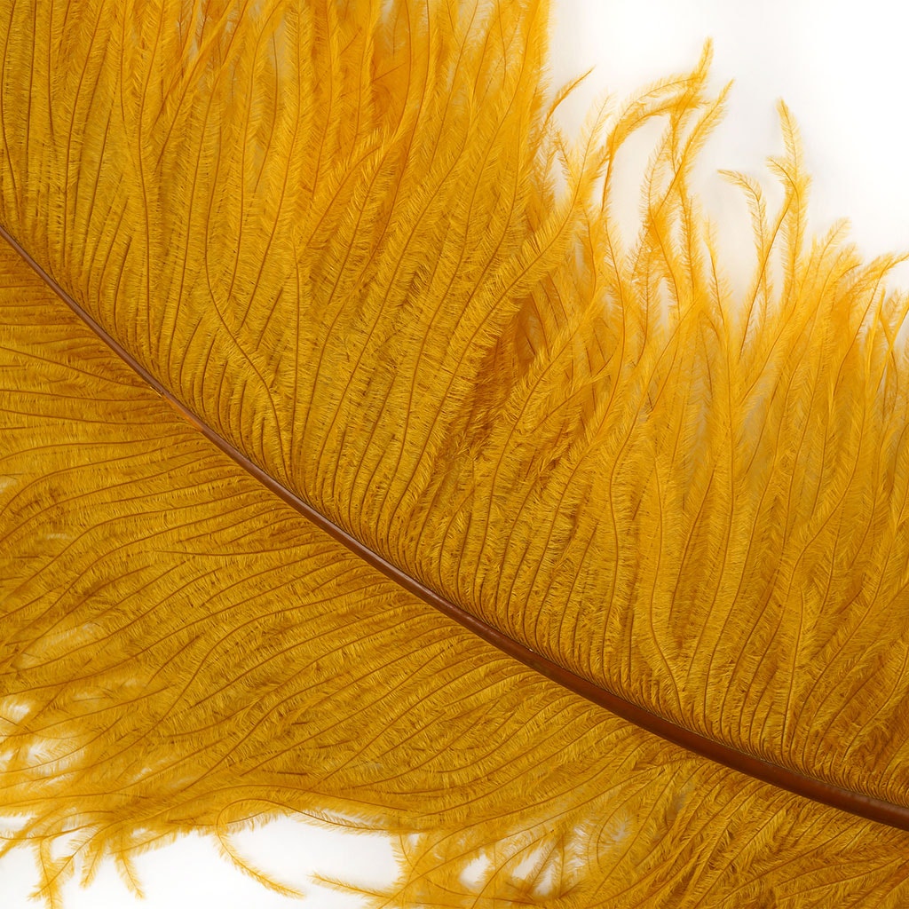 Large Ostrich Feathers - 20-25" Prime Femina Plumes - Marigold