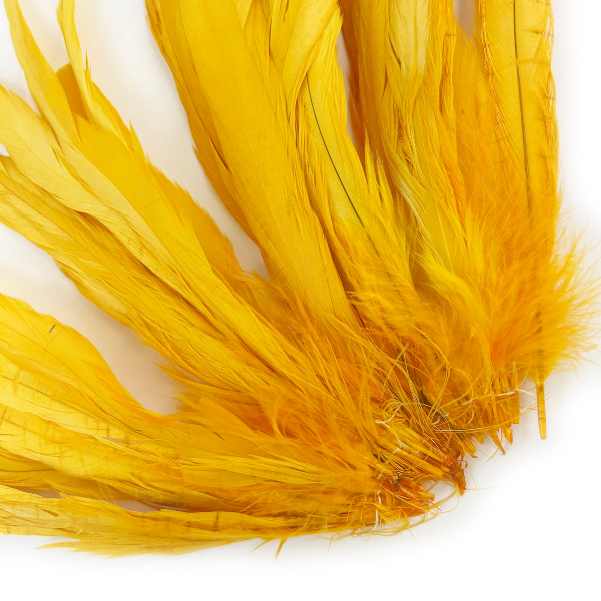 ROOSTER COQUE TAIL FEATHERS BLEACH DYED 7-10” - 25 PC/PKG - Gold