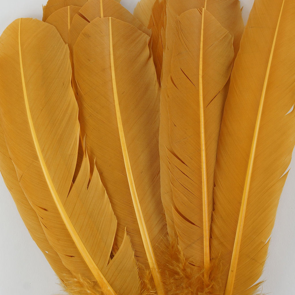 Bulk Turkey Quills by Pound - Right Wing - Antique Gold
