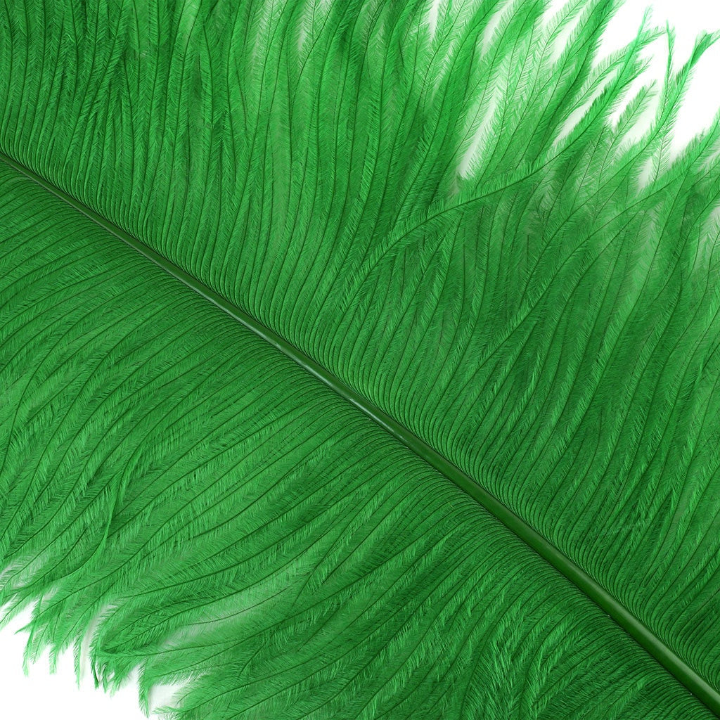 Large Ostrich Feathers - 20-25" Prime Femina Plumes - Kelly