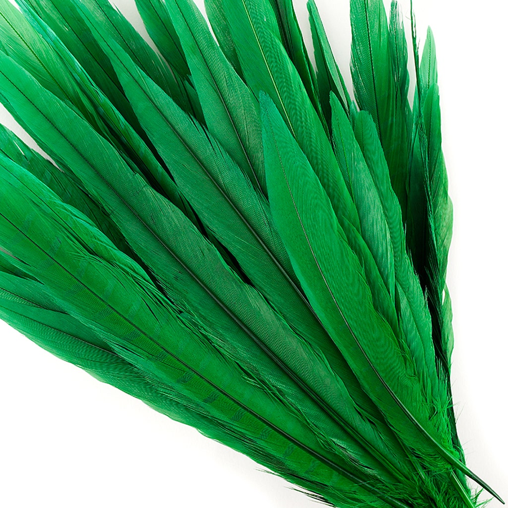 Bulk Assorted Pheasant Tails Dyed - Kelly