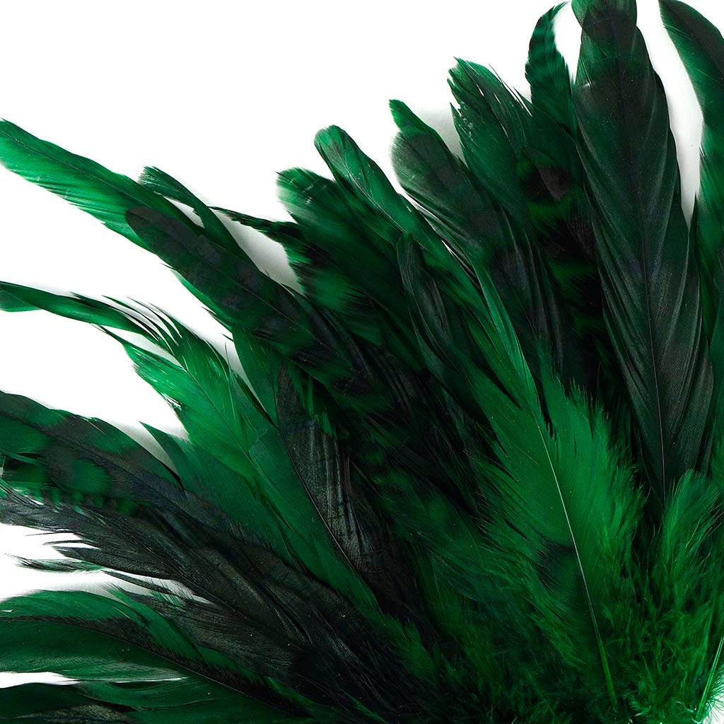 Rooster Coque Tails-Chinchilla Kelly
