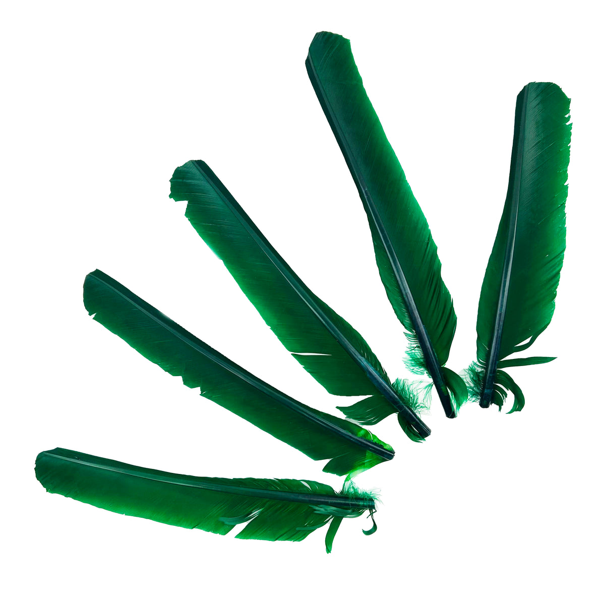 Kelly Green Cut Turkey Pointer Feathers 8-12"