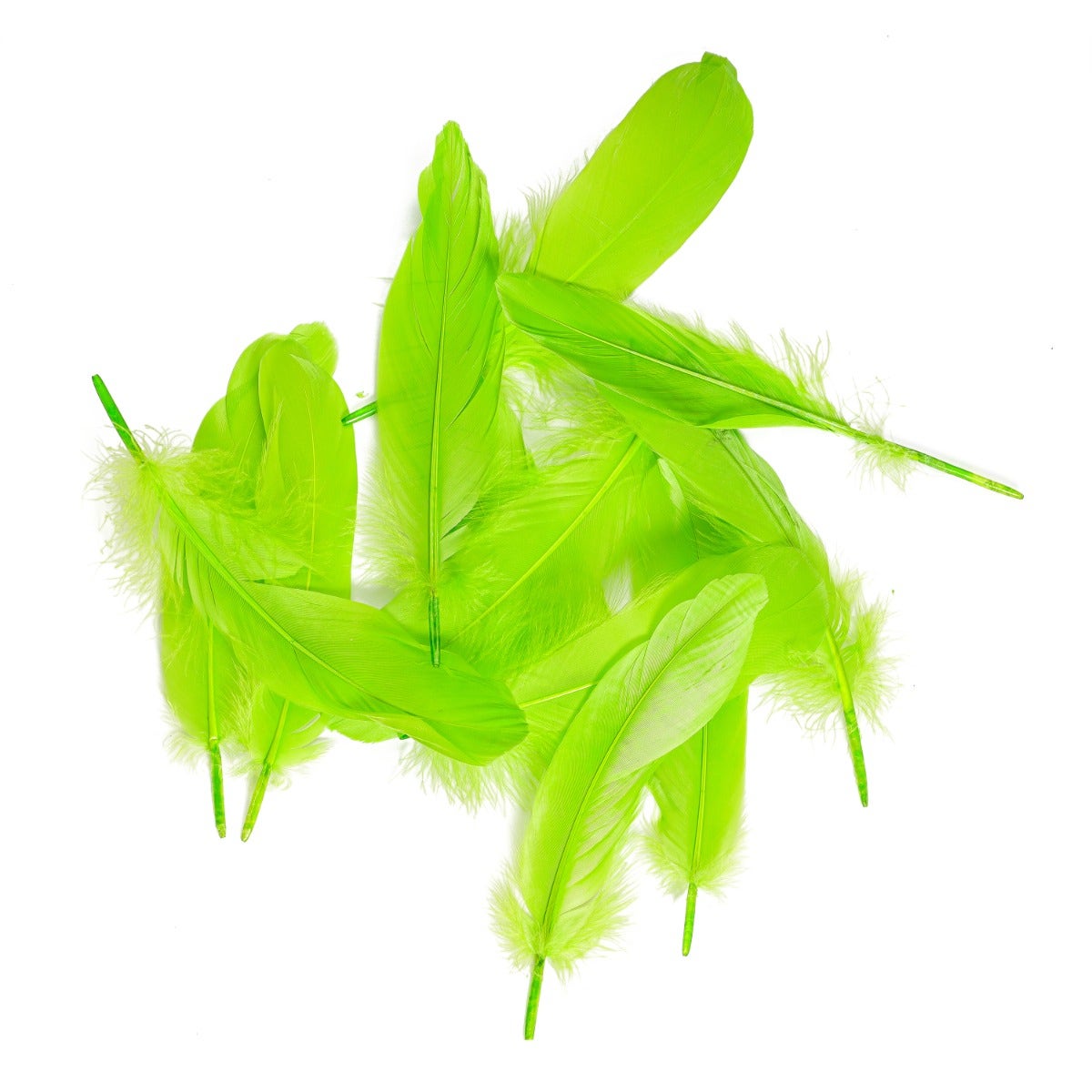 Goose Pallet Feathers 6-8" - 12 pc - Lime