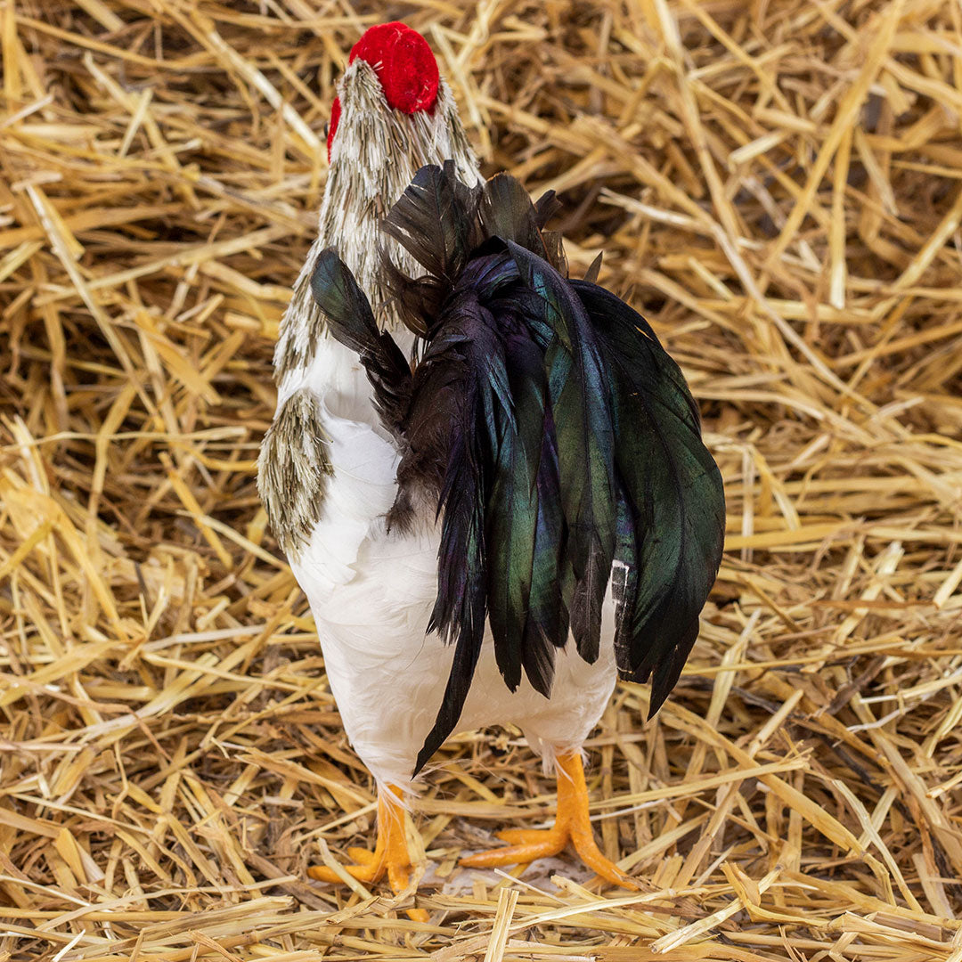 Natural White and Gray Rooster Farmhouse Decor
