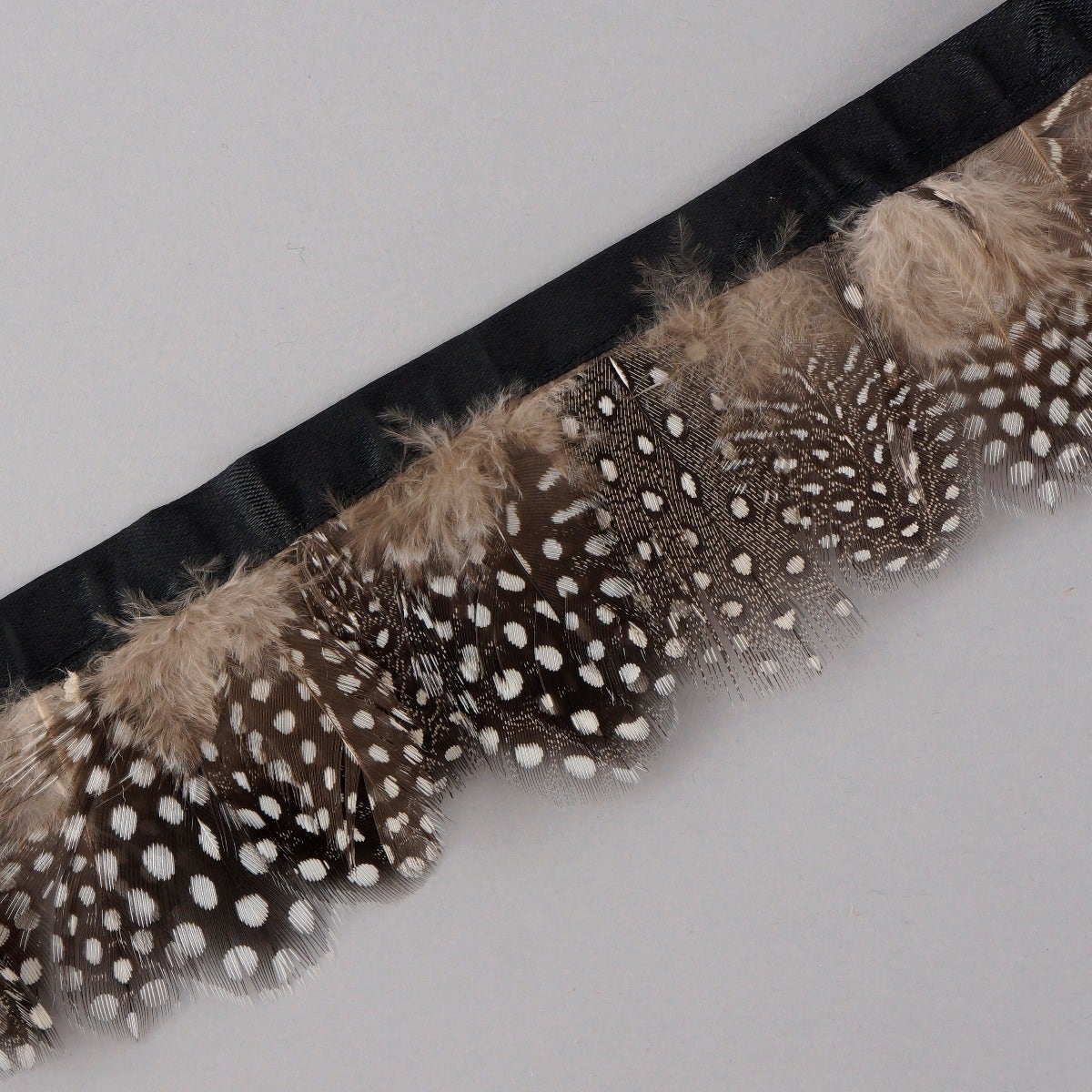 Guinea Plumage Feather Fringe - 1.75" - 1 Yard - Natural