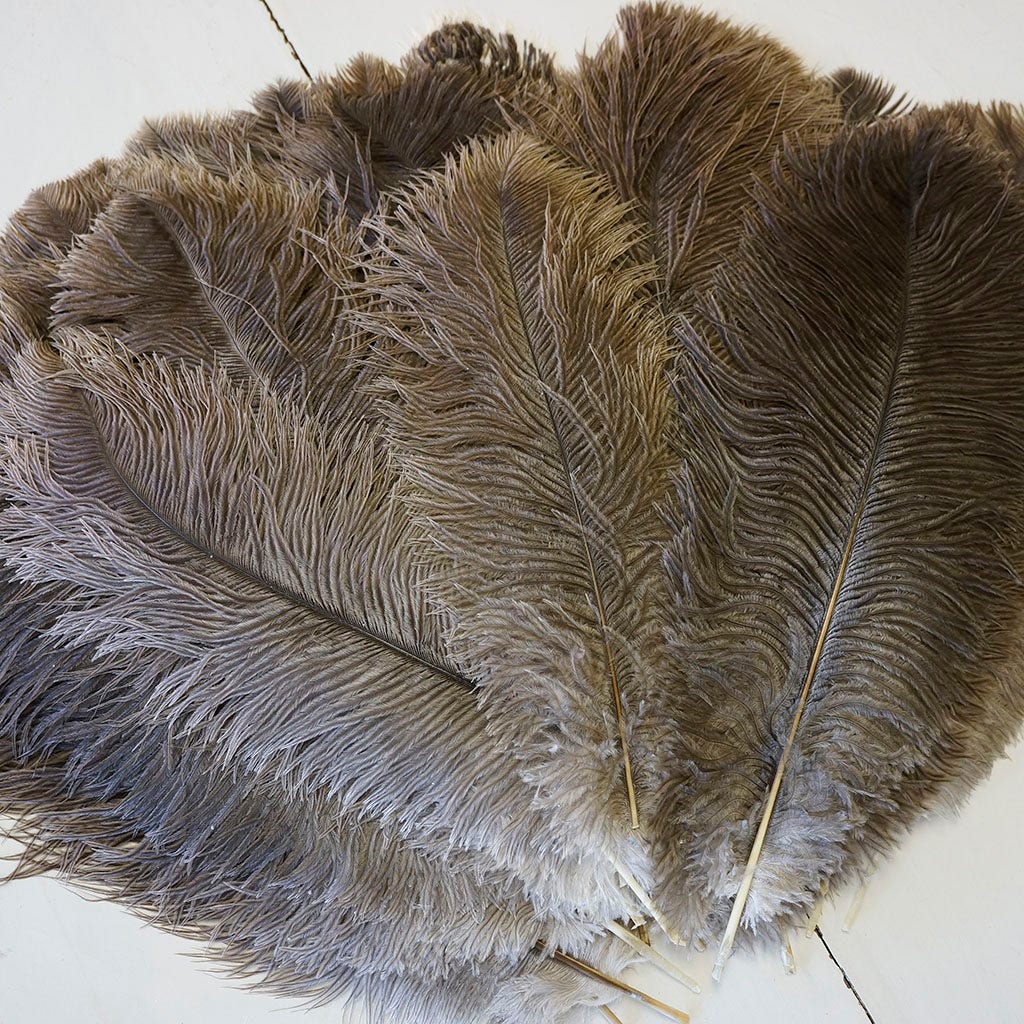 Large Ostrich Feathers - 17"+ Drabs - Natural