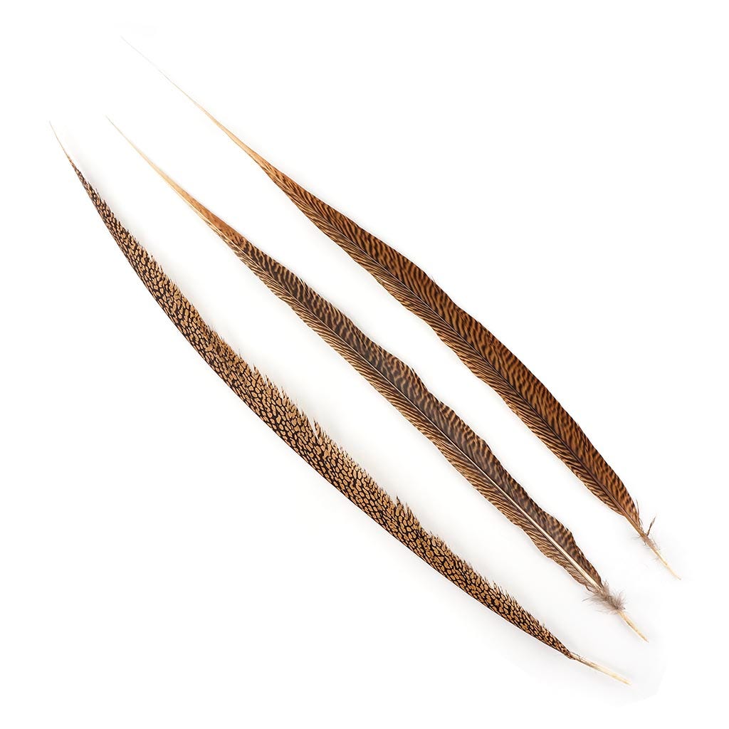 Bulk Golden Pheasant Tails Natural - 20 - 25"