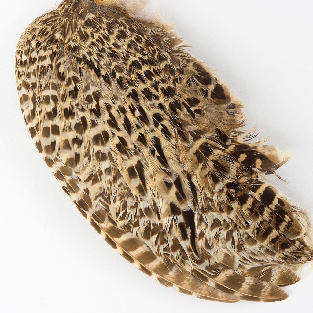 Ringneck Pheasant Hen Skin pieces