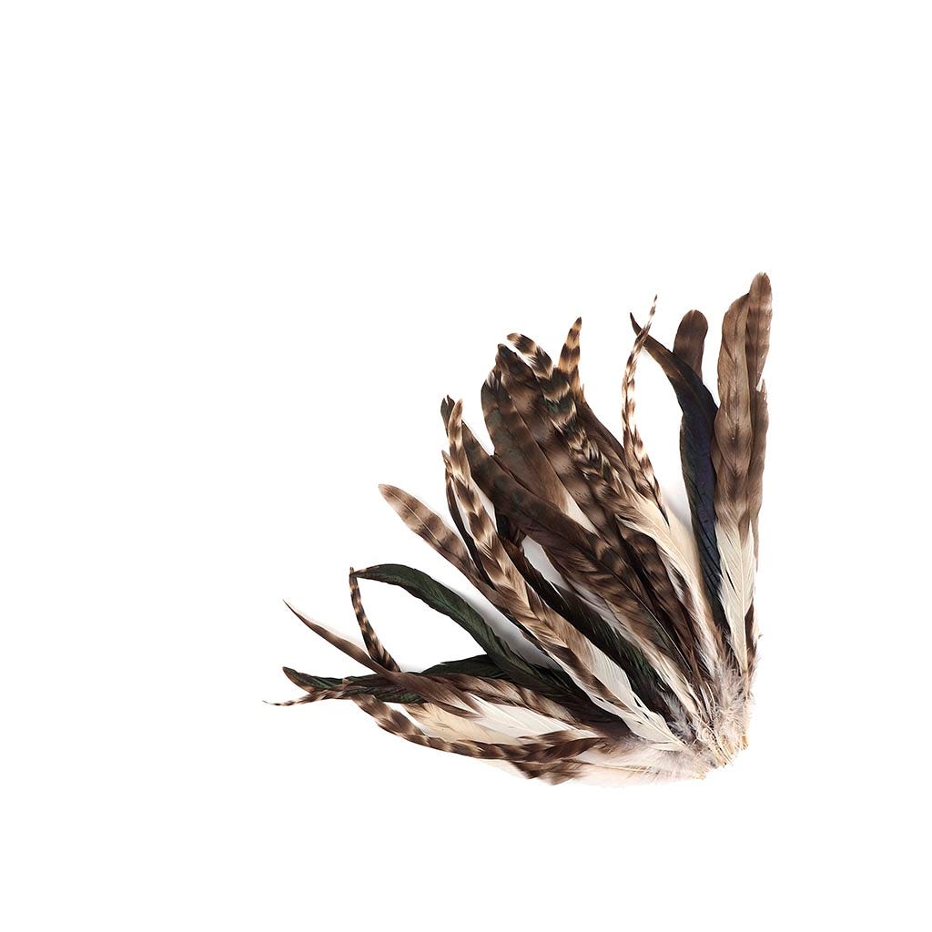 Rooster Coque Tails-Chinchilla - 9-12"