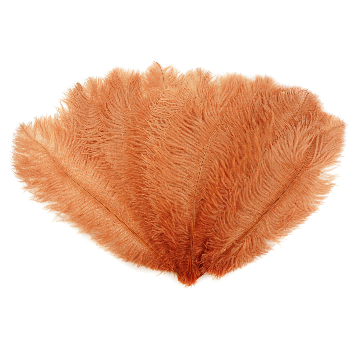 Ostrich Feathers 13-16" Drabs - Cinnamon