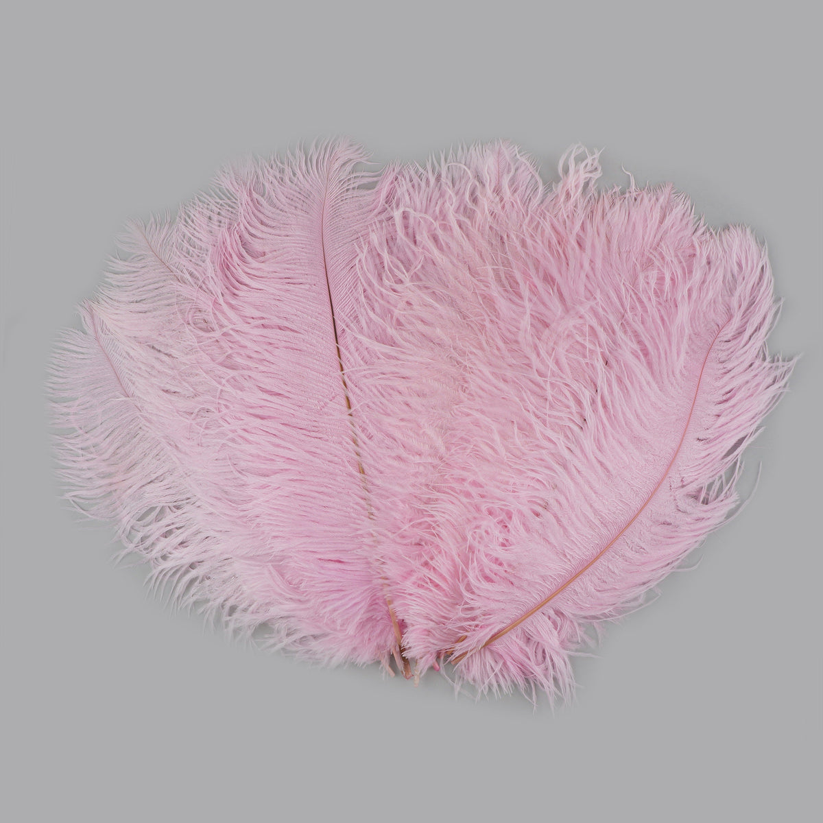 Ostrich Feathers 13-16" Drabs - Candy Pink