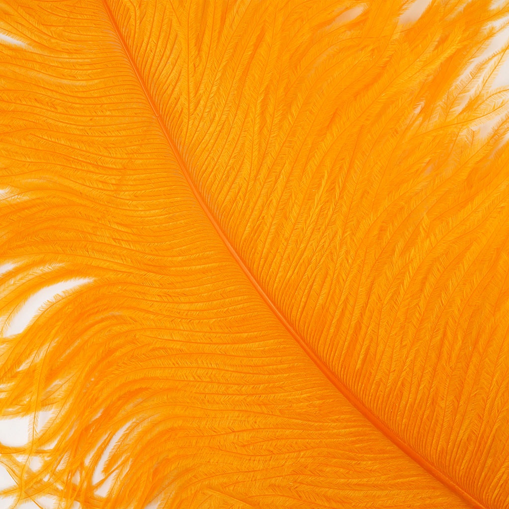 Large Ostrich Feathers - 20-25" Prime Femina Plumes - Orange