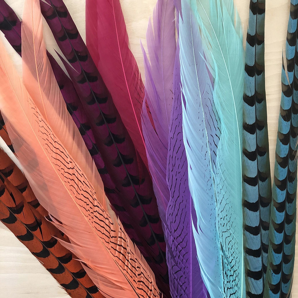Silver Pheasant Tail Feathers Dyed Apricot Blush