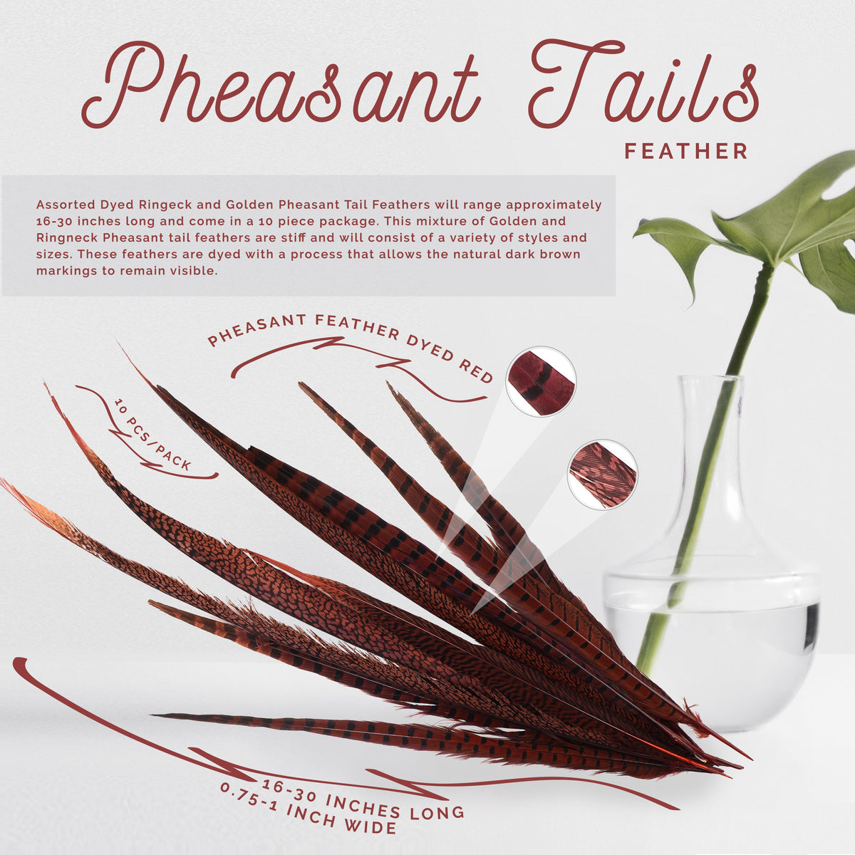 Pheasant Tails Assorted Dyed - Red