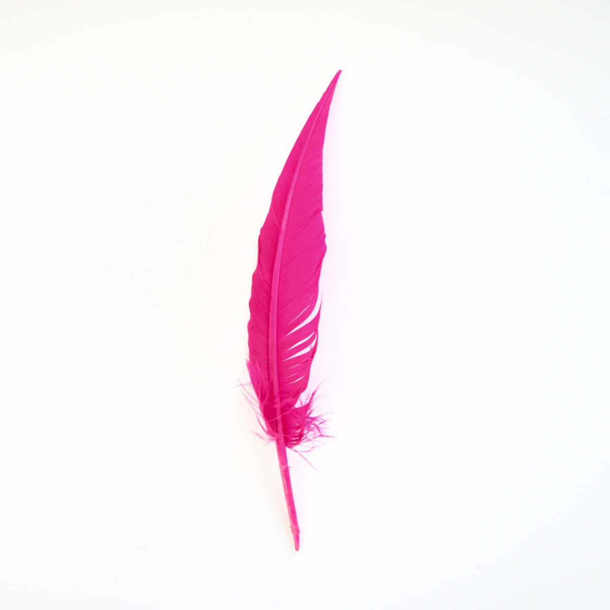 Pink Orient Dagger Turkey Quill Feathers 9-12"