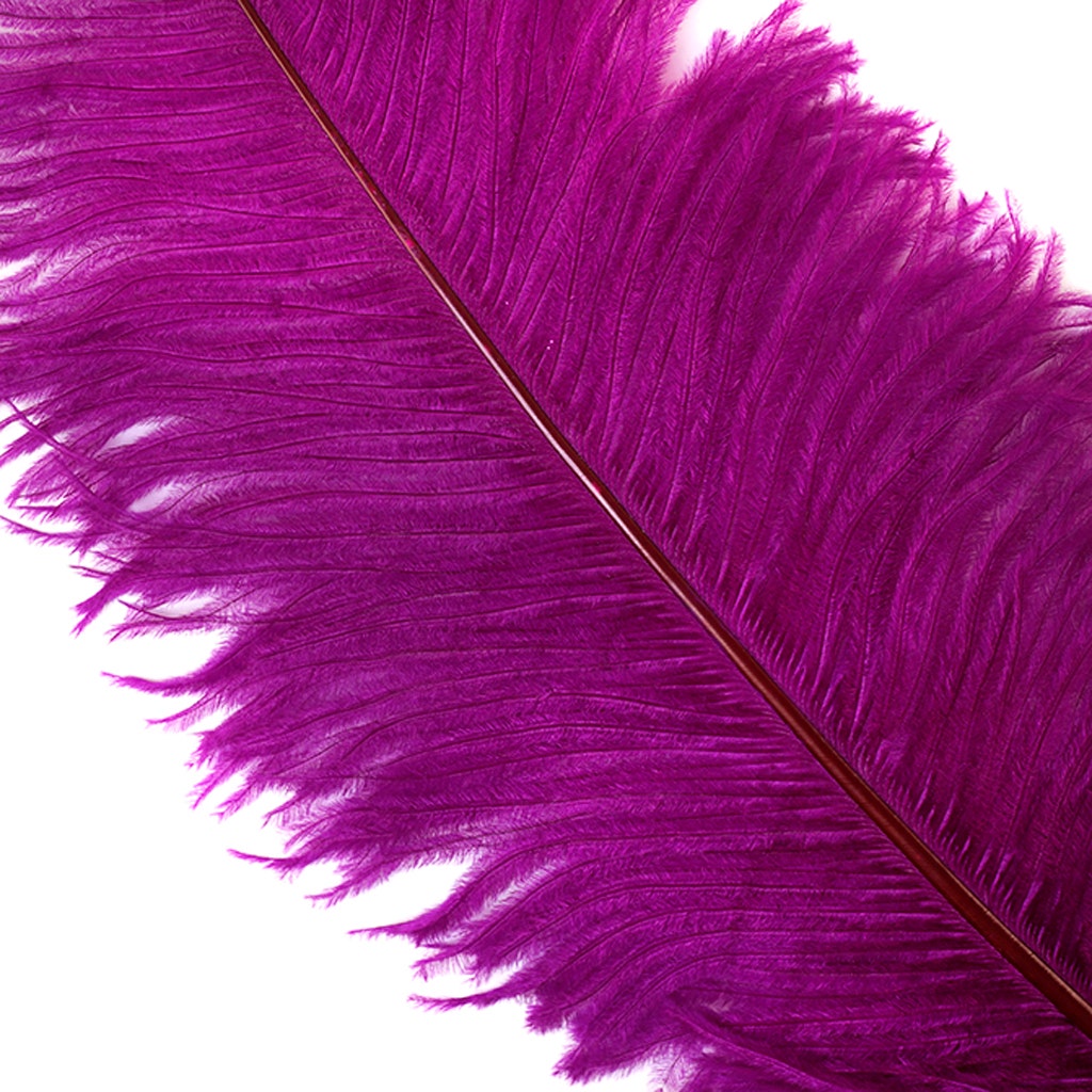 Large Ostrich Feathers - 18-24" Spads - Very Berry