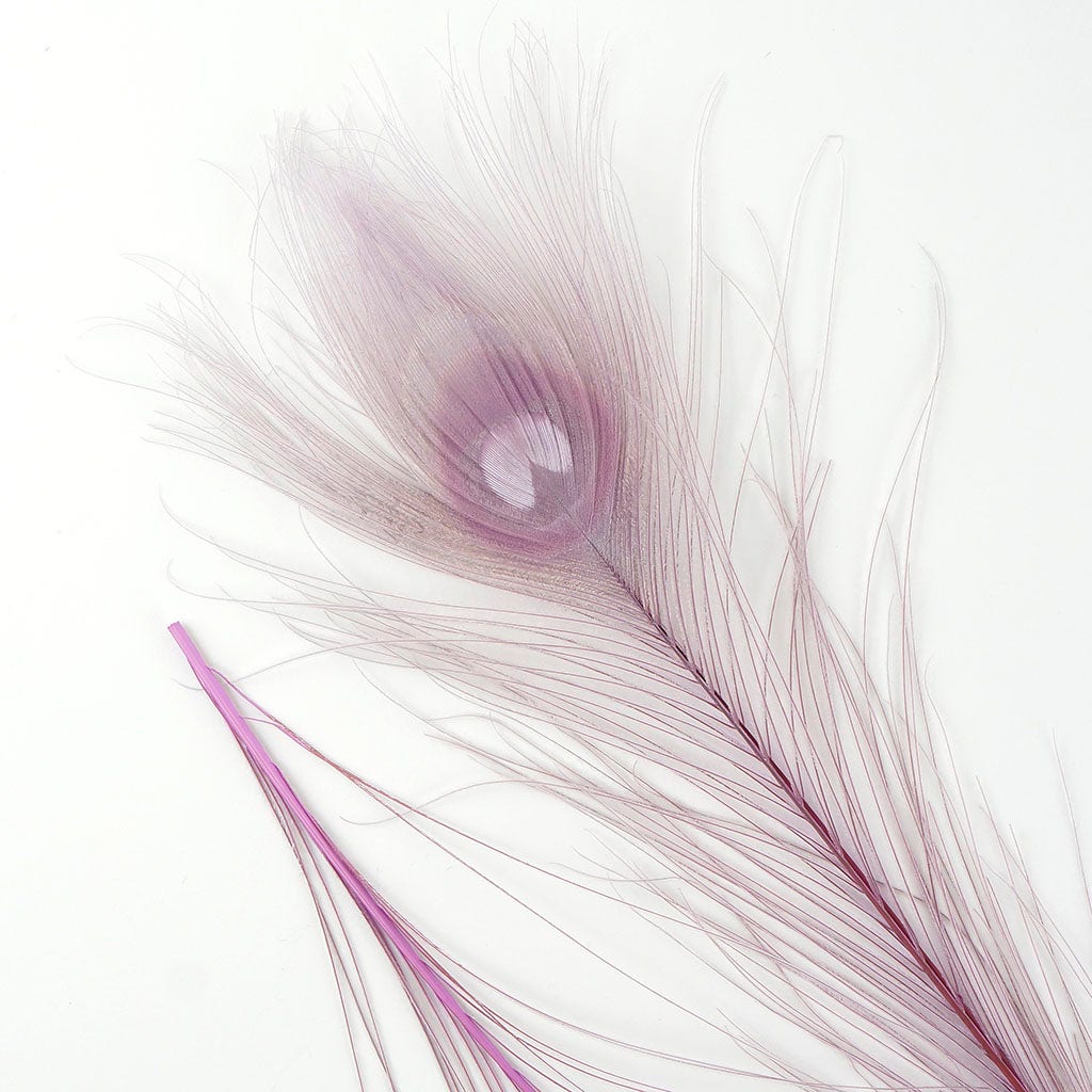 Peacock Feather Eyes Bleached & Dyed Orchid
