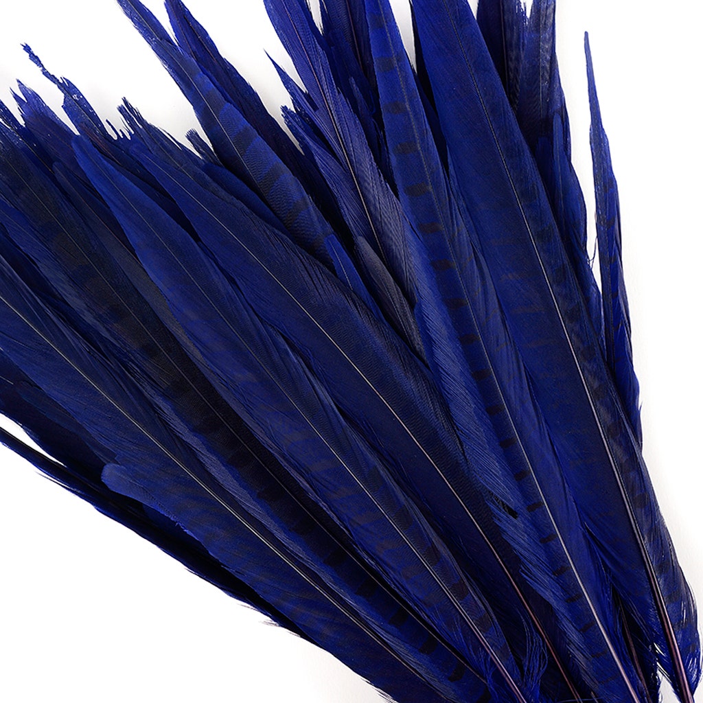 Bulk Assorted Pheasant Tails Dyed - Regal