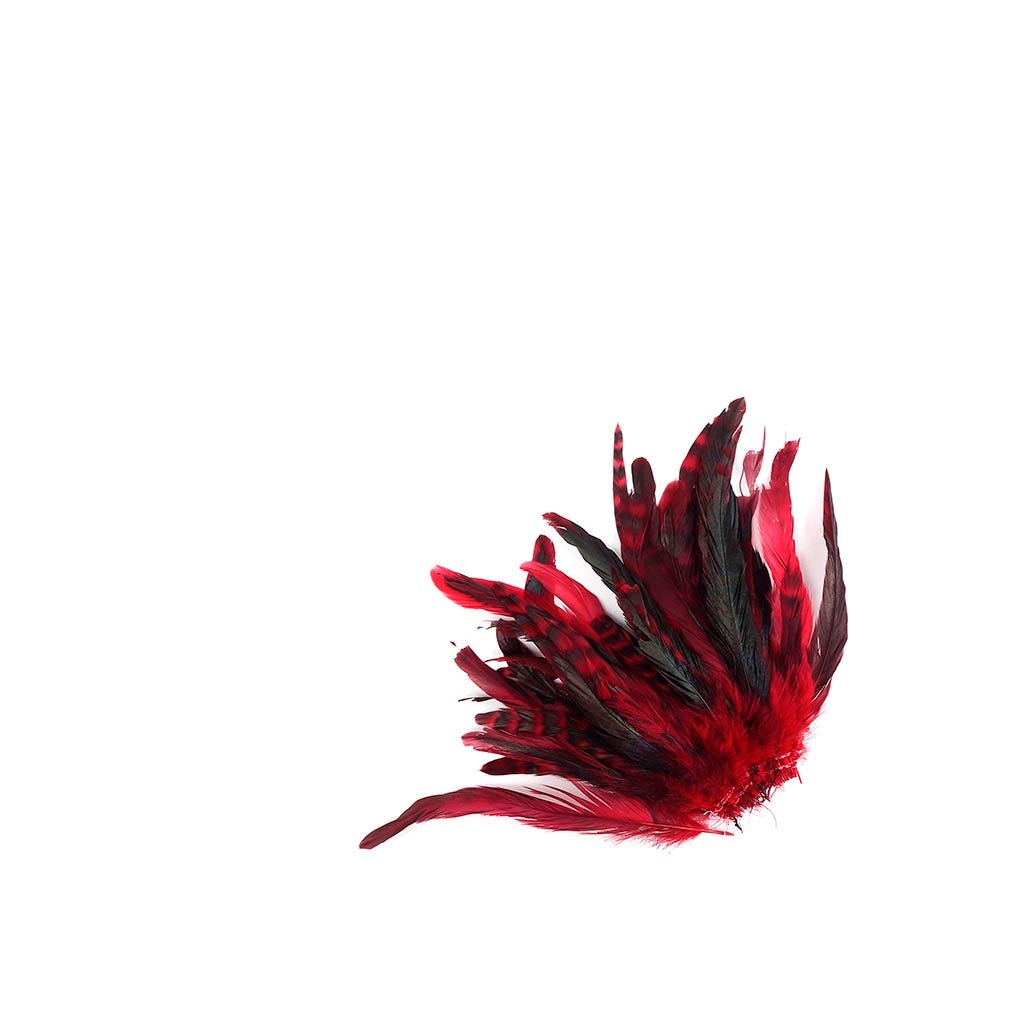 Rooster Coque Tails-Chinchilla Red
