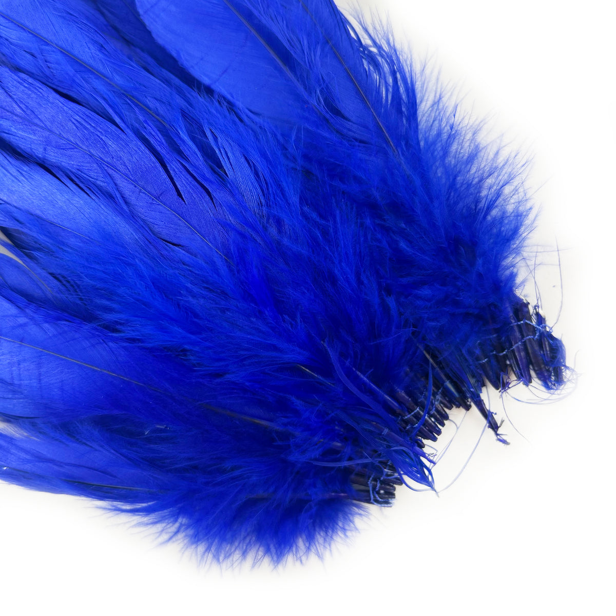 ROOSTER COQUE TAIL FEATHERS BLEACH DYED 7-10” - 25 PC/PKG - Royal