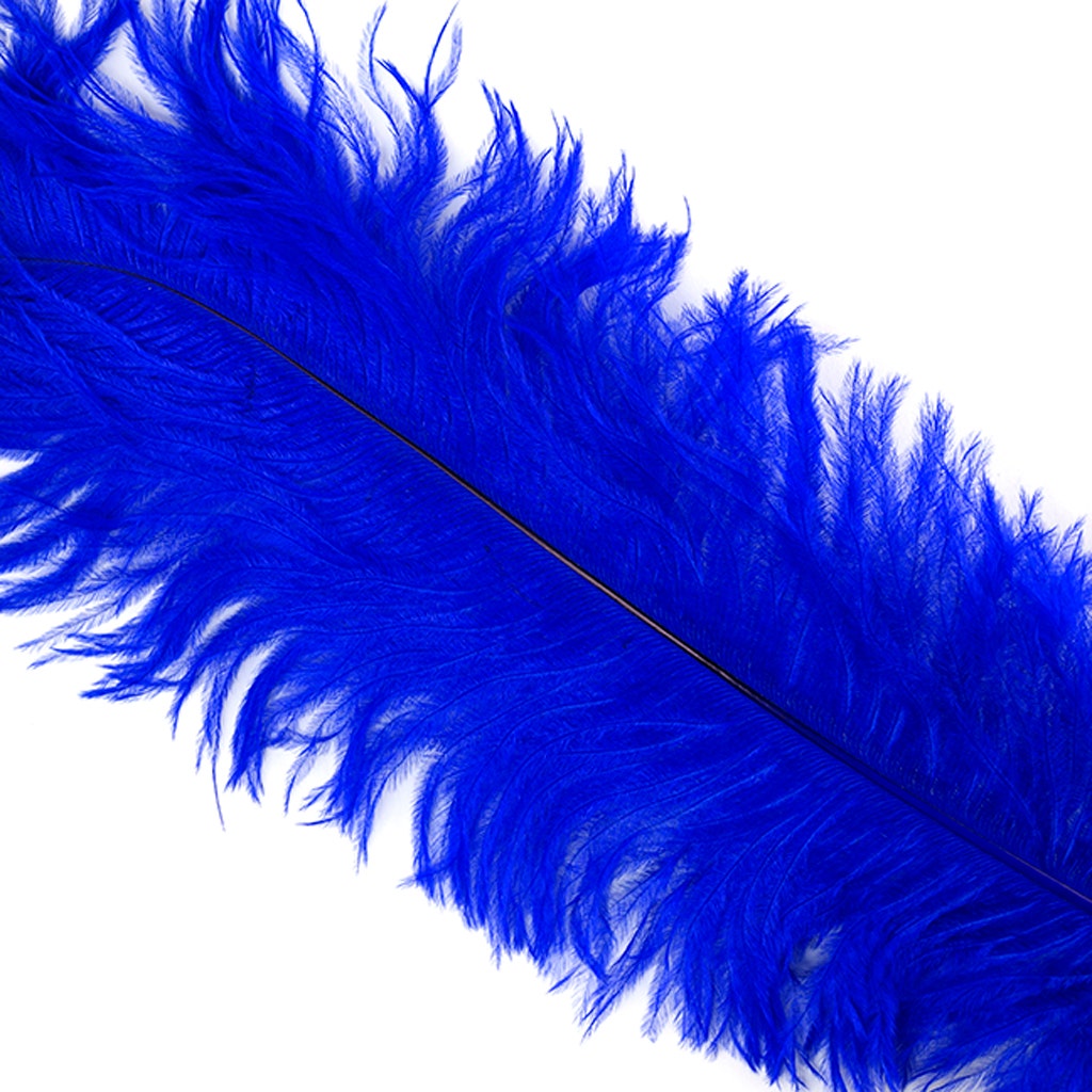 Large Ostrich Feathers - 18-24" Spads - Royal