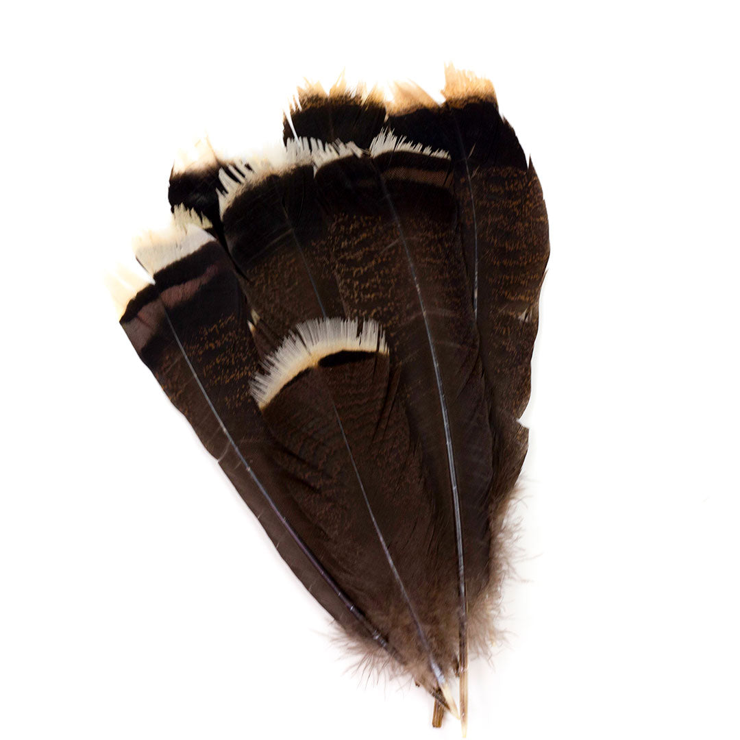 Natural Bronze Turkey Tails 8-14" 12 pcs