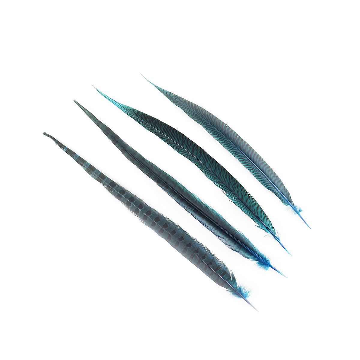 Bulk Assorted Pheasant Tails Dyed - Dark Turquoise