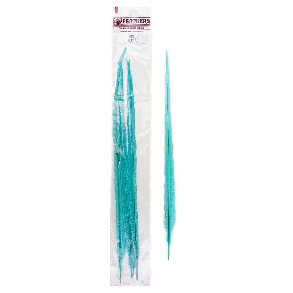 Ringneck Pheasant Tails Bleached & Dyed Lt Turquoise