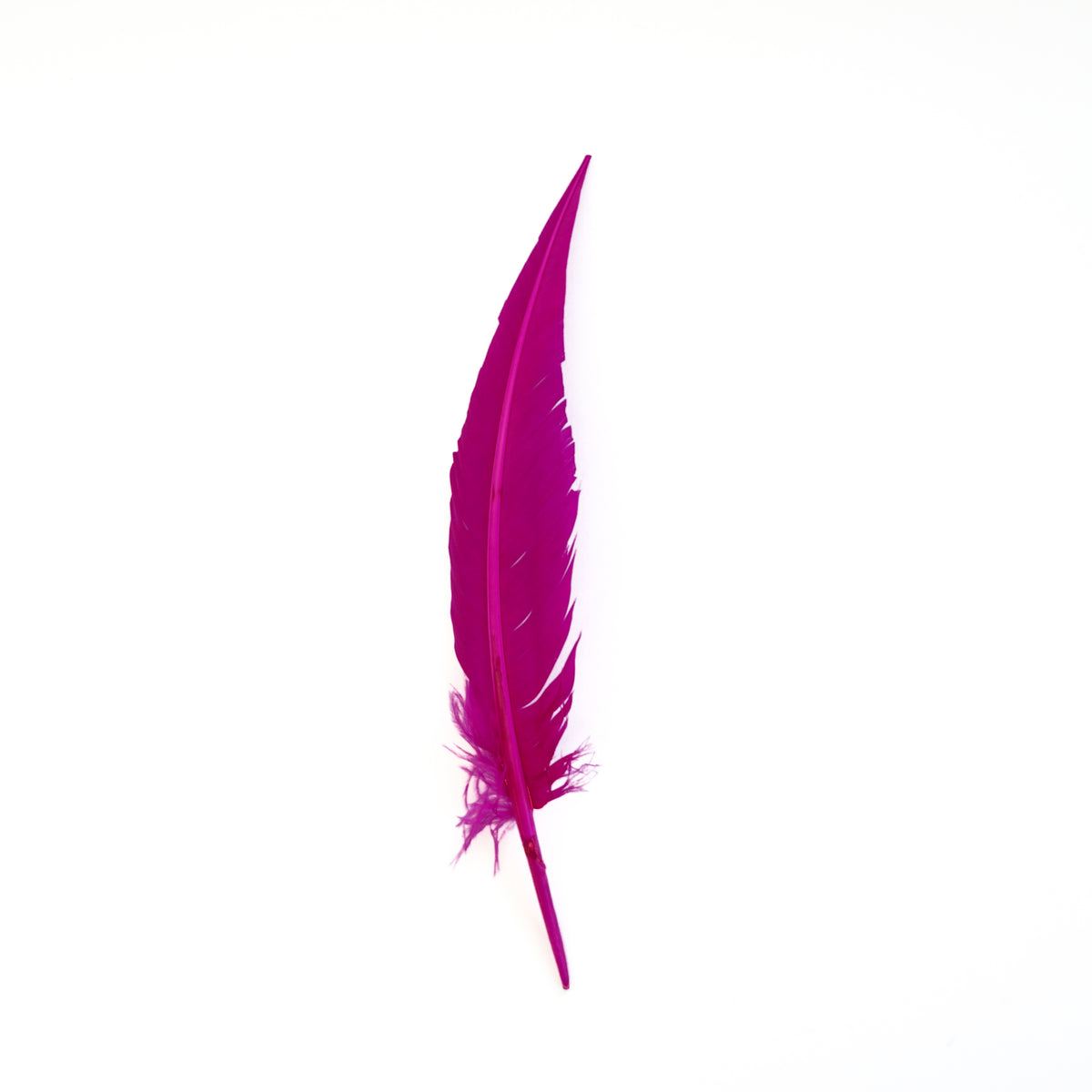 Very Berry Dagger Turkey Quill Feathers 9-12"