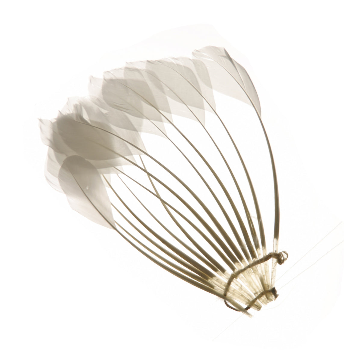 Duck Stripped Center Fan Trim - White