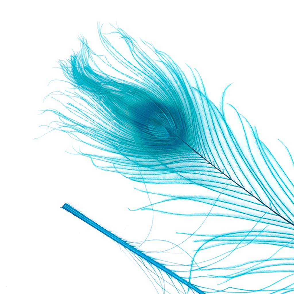 Peacock Tail Eyes Bleached and Dyed - 8-15” - 100 pc - Dark Aqua