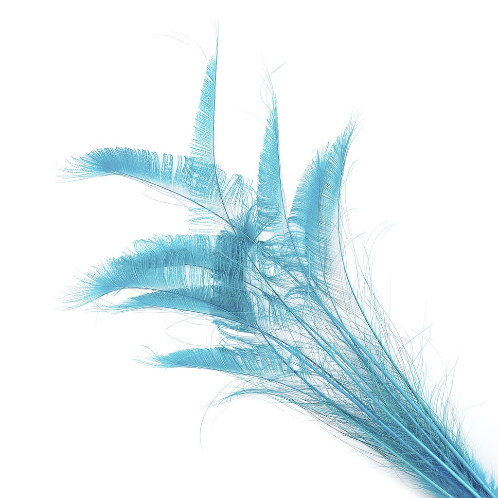 Peacock Swords Bleached Dyed - Dark Aqua