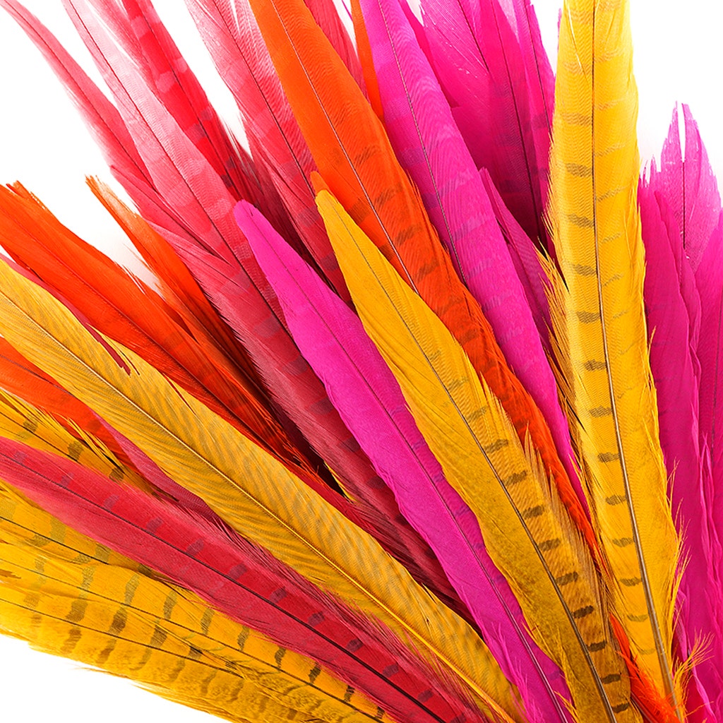 Assorted Pheasant Tails Mix Dyed - Fiesta Mix