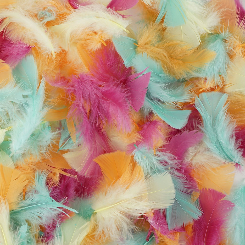 TURKEY PLUMAGE MIX DYED - MELON
