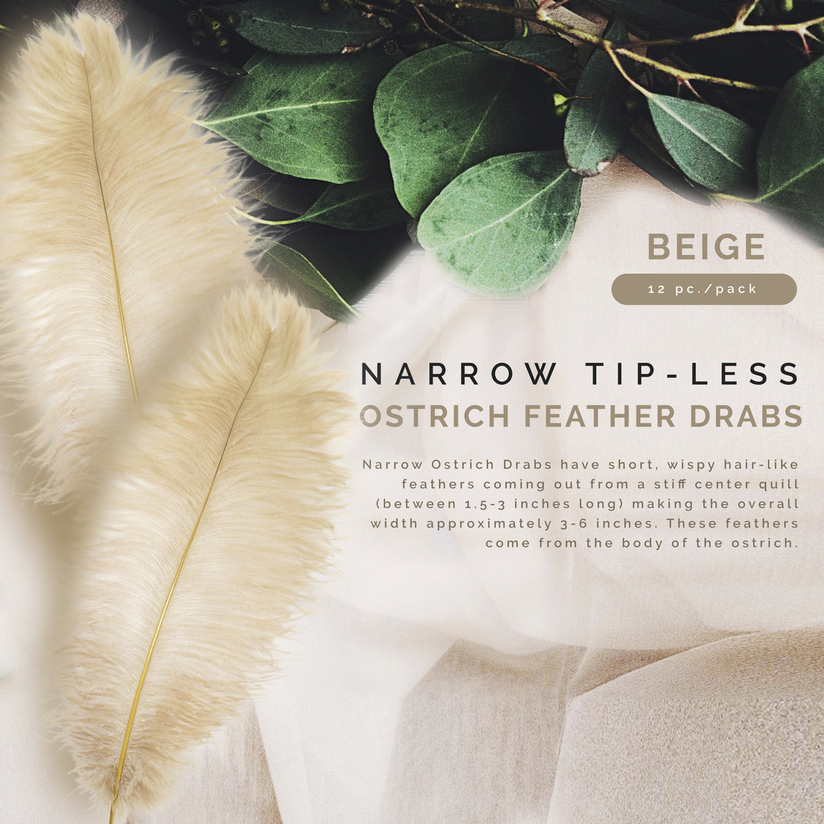 Ostrich Feathers-Narrow Drabs - Beige