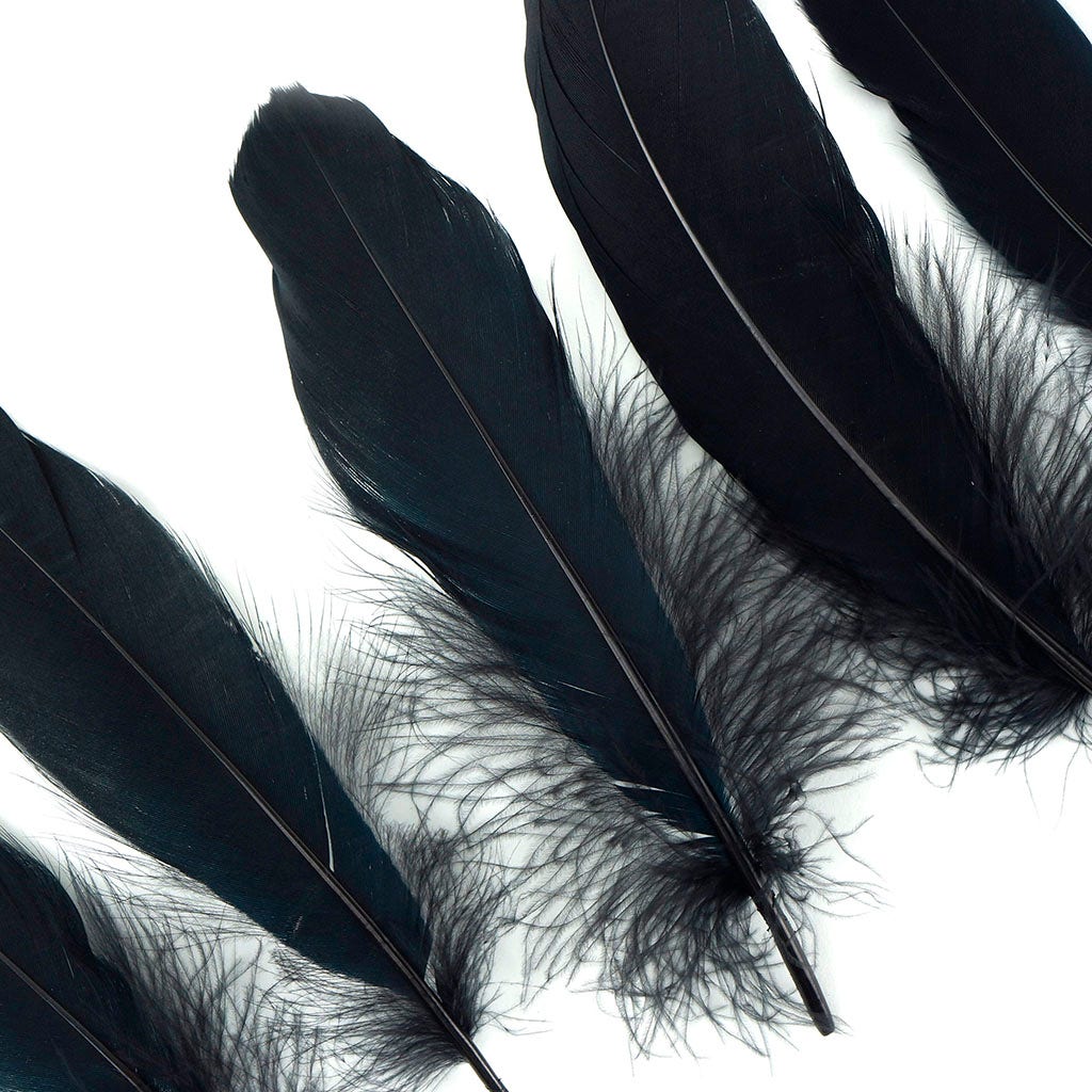 Goose Satinette Feathers Dyed - Black - 1/4 lb